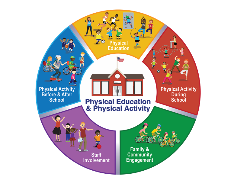 A circle divided into 5 different color sections describing physical education and physical activity.