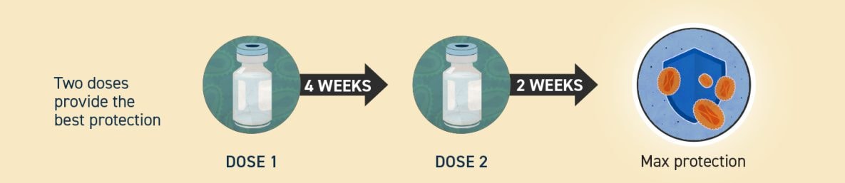 Two doses provide the best protection. Get dose 1, wait 4 weeks, and then get dose 2. You will have maximum protection two weeks after your second dose.