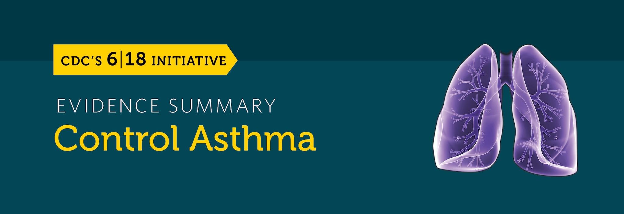 The control asthma evidence summary banner.