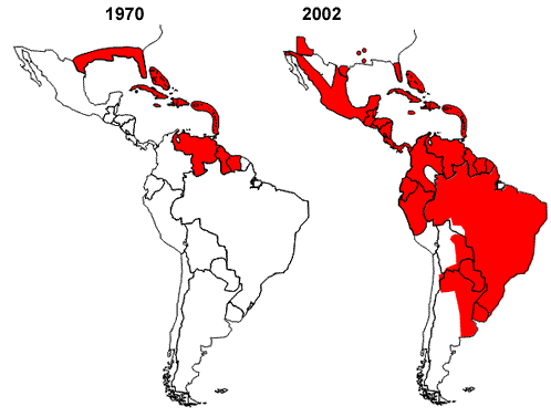Mapa: Distribuci&oacute;n del Aedes aegypti (&aacute;reas sombreadas en rojo) en el continente americano en 1970, al final del programa de erradicaci&oacute;n del mosquito y en 2002.