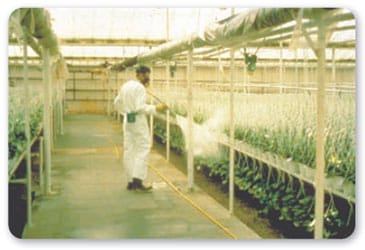 Vista lateral de un trabajador de pie usando ropa y respirador de protecci%26oacute;n mientras aplica sustancias qu%26iacute;micas en plantas colgantes de un invernadero