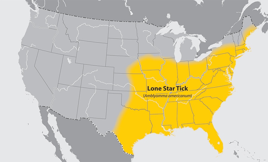 Geographic distribution of ticks that bite humans Ticks CDC