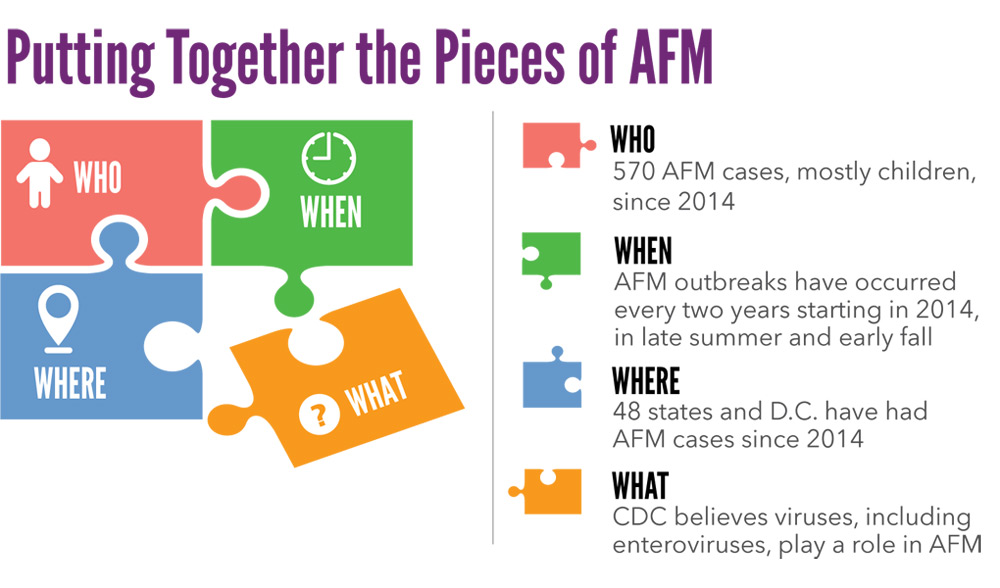 infographic 2 Putting Together the Pieces of AFM. WHO: 570 AFM cases, mostly children, since 2014. WHEN: AFM outbreaks have occurred every two years starting in 2014, in late summer and early fall. WHERE: 48 states and D.C. have had AFM cases since 2014. WHAT: CDC believes viruses, including enteroviruses, play a role in AFM.SOURCE: CDC Vital Signs, July 2019