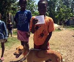 Haitian boy holds out the certificate of rabies vaccination for his dog.