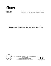 Image of publication Economics of Safety at Surface Mine Spoil Piles