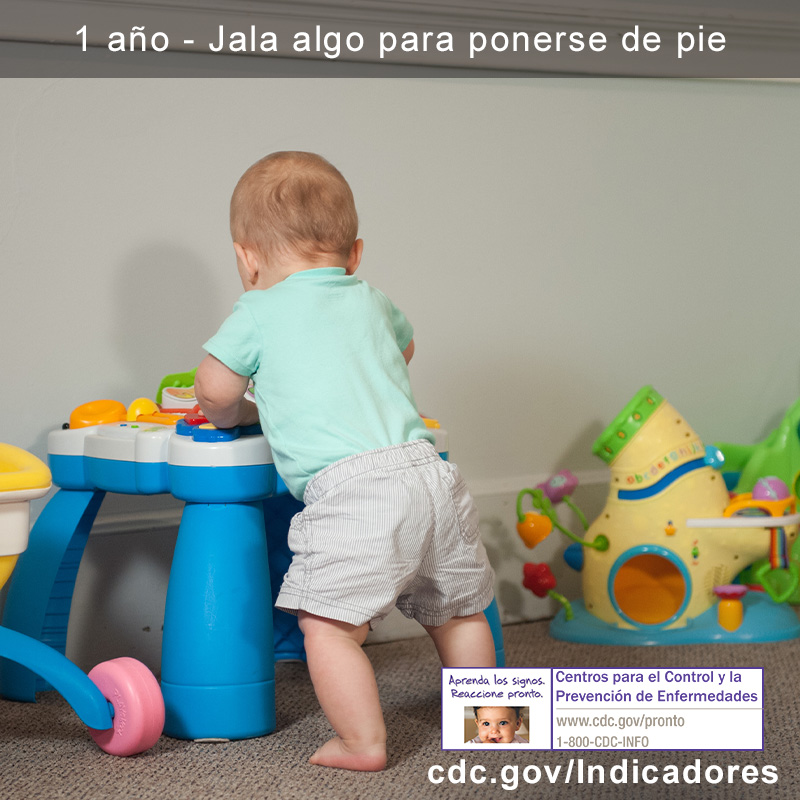 Se levanta para estar de pie