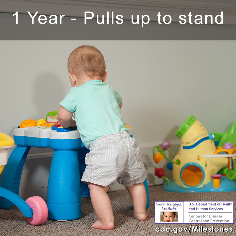 1 year old pulls to stand