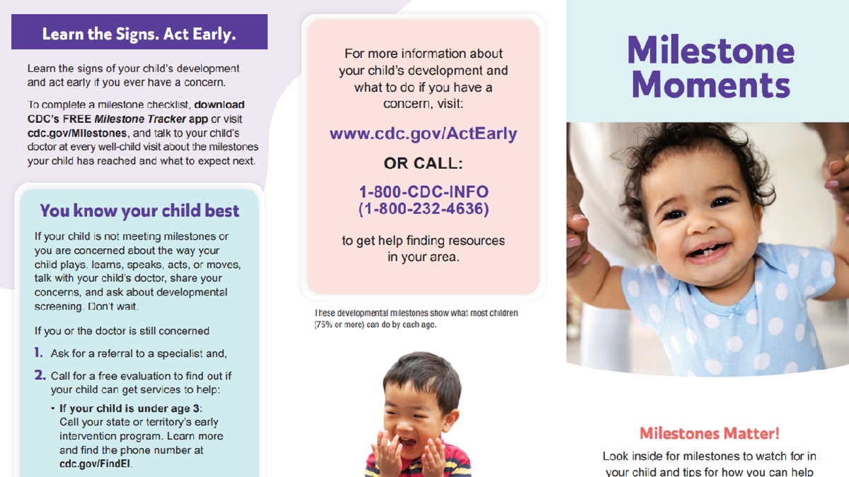 Milestone brochure thumbnail