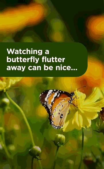 Watching a butterfly flutter away can be nice...while having thoughts constantly flutter away can impact daily life. Is it ADHD? Learn more about ADHD in adults. Visit cdc.gov/ADHD