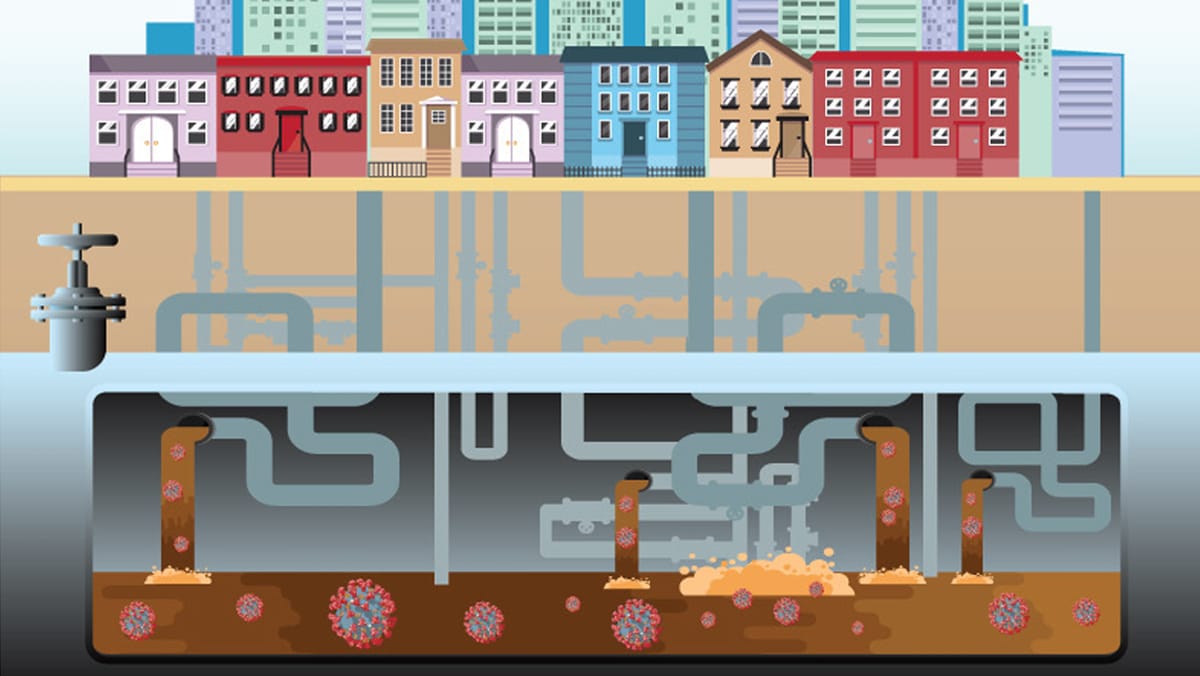 Illustrated buildings forming a large community have numerous pipes collecting wastewater into one location.