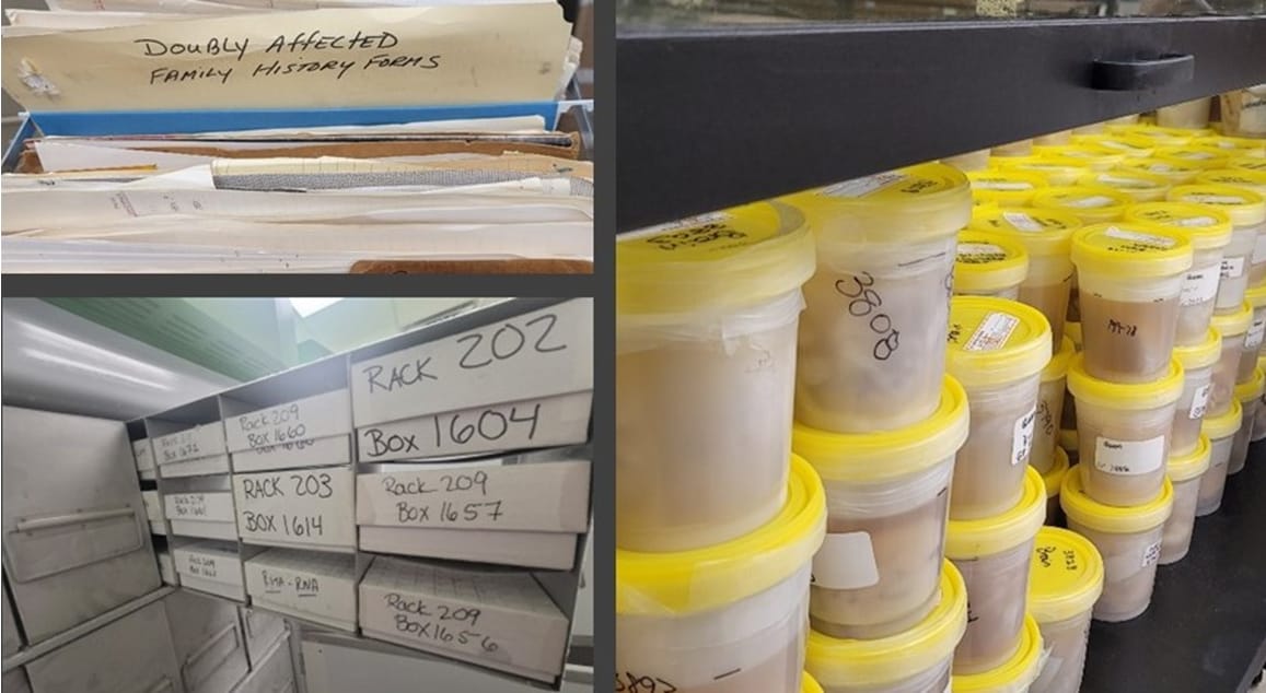 Images of the Temple University Postmortem core biosamples