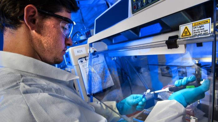 Public health scientist setting up a PCR test