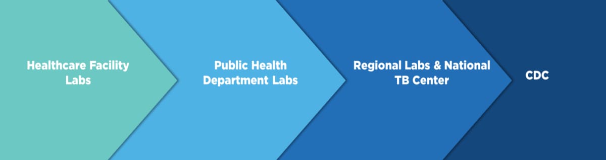 AR Lab Network Collaboration image. Shows the healthcare lab, working with the public health lab, who collaborates with the regional lab, who then works with CDC.
