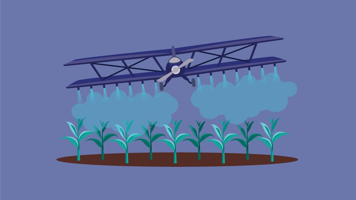 Illustration of an airplane spraying azole fungicides over a field of plants.