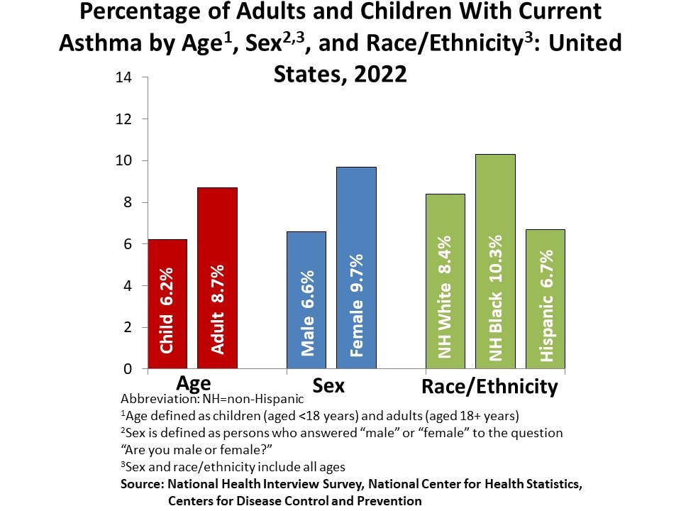 Graphic bar graph of 2022 data