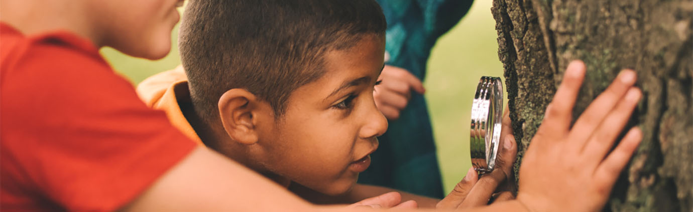 Kids looking at a tree with a magnifying glass.