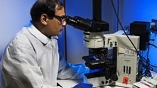 A CDC scientist looks through a microscope.