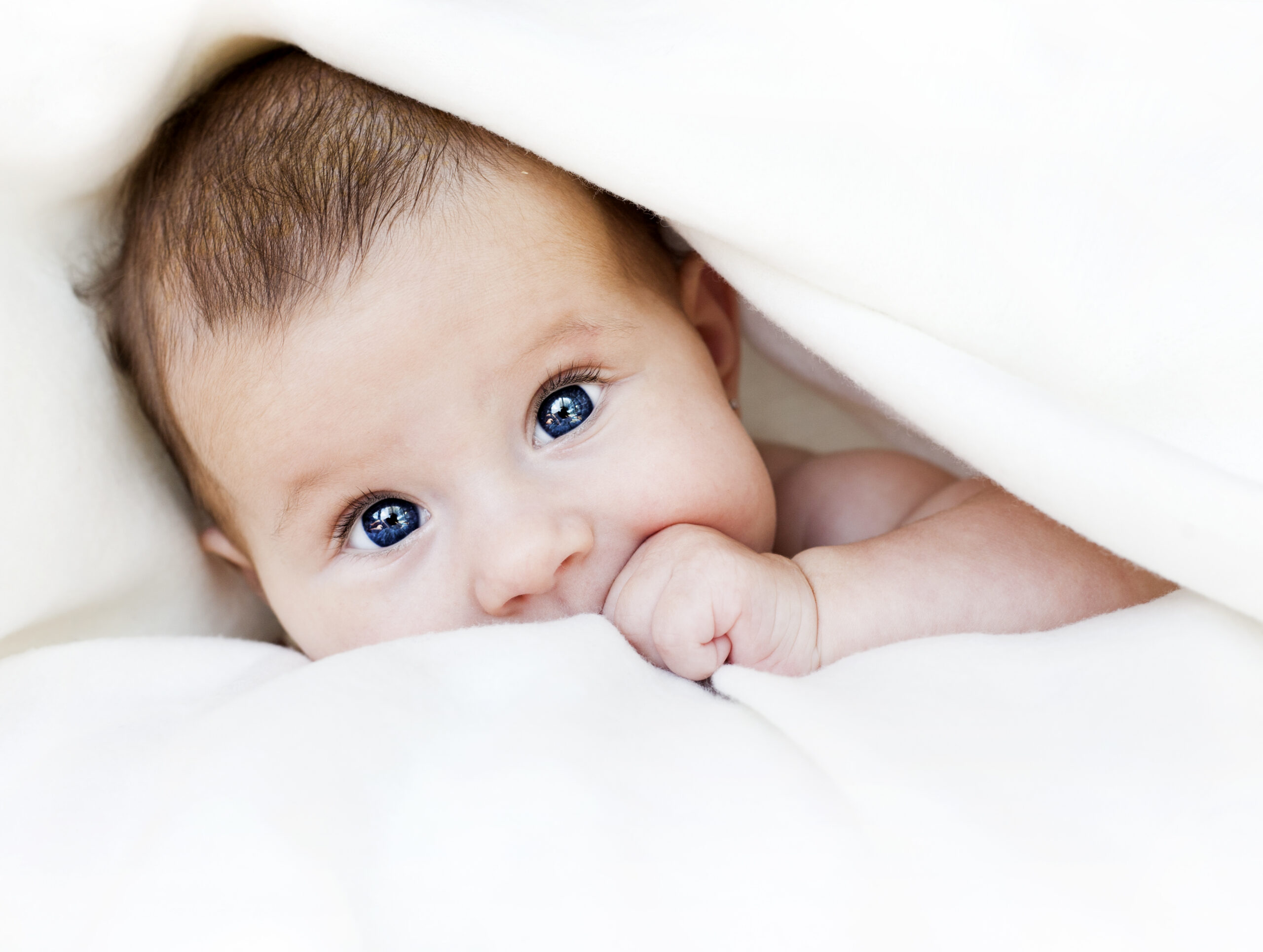 Infant wrapped in a blanket