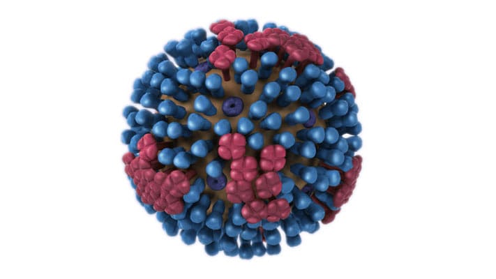 3D rendering of Influenza virus