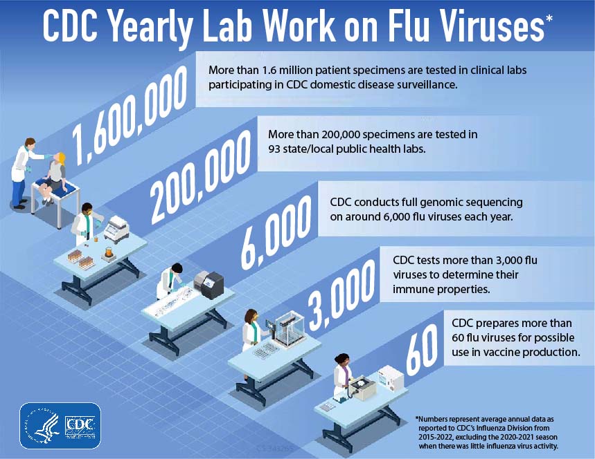 CDC conducts laboratory work on influenza viruses year-round.