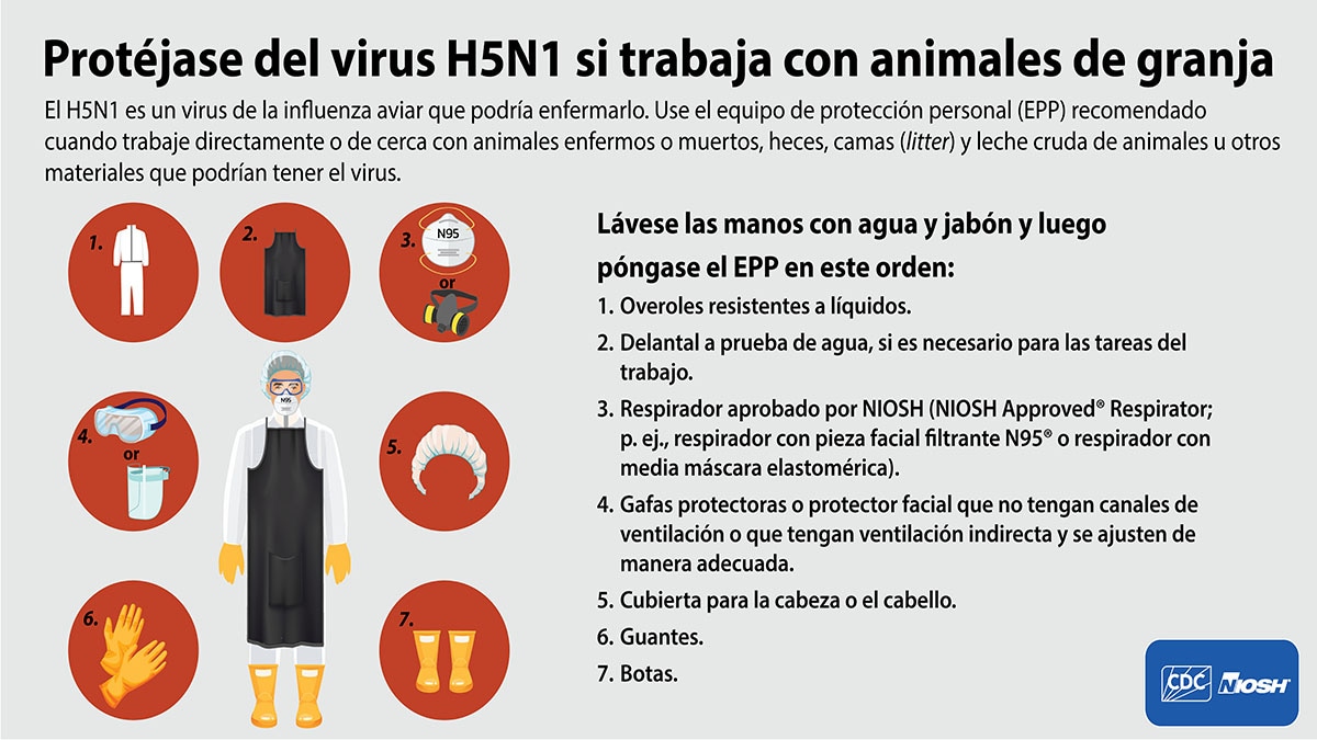 Protéjase del virus H5N1 si trabaja con animales de granja 1200x675 for Twitter/X