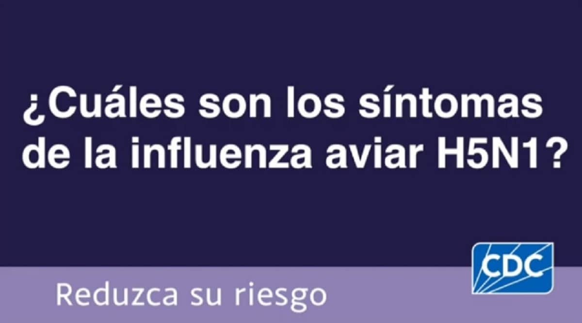 What are symptoms of H5N1 bird flu? (Spanish) Bird Flu CDC