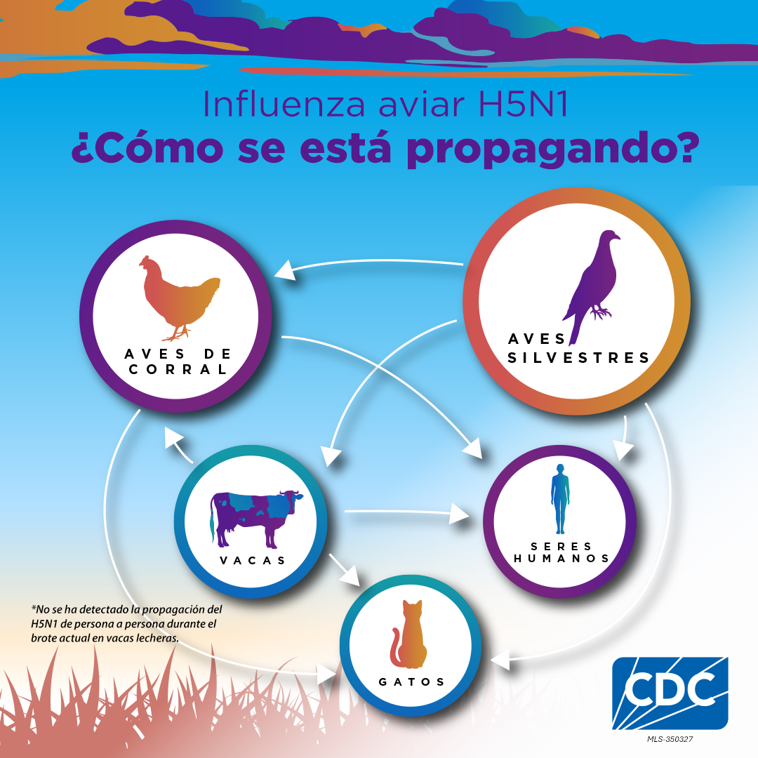 H5N1 Bird Flu: How is it Spreading?