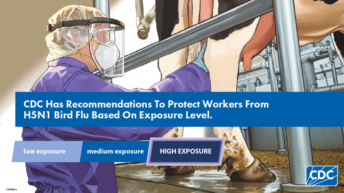 A graphic reading" CDC has recommendations to protect workers from H5N1 Bird flu based on exposure level"