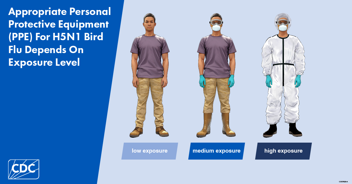 Graphic about PPE reading "appropriate protective equipment for H5N1 bird flu depends on exposure level"