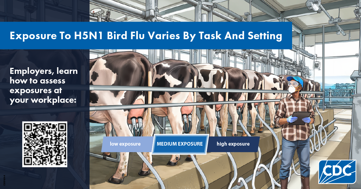 Graphic reading "Exposure to H5N1 bird flu varies by task and setting"