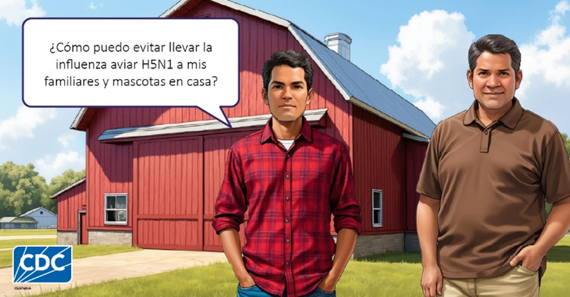 Graphic of two men in front of a barn reading "how can I avoid bringing H5N1 bird flu home to my family and pets?"