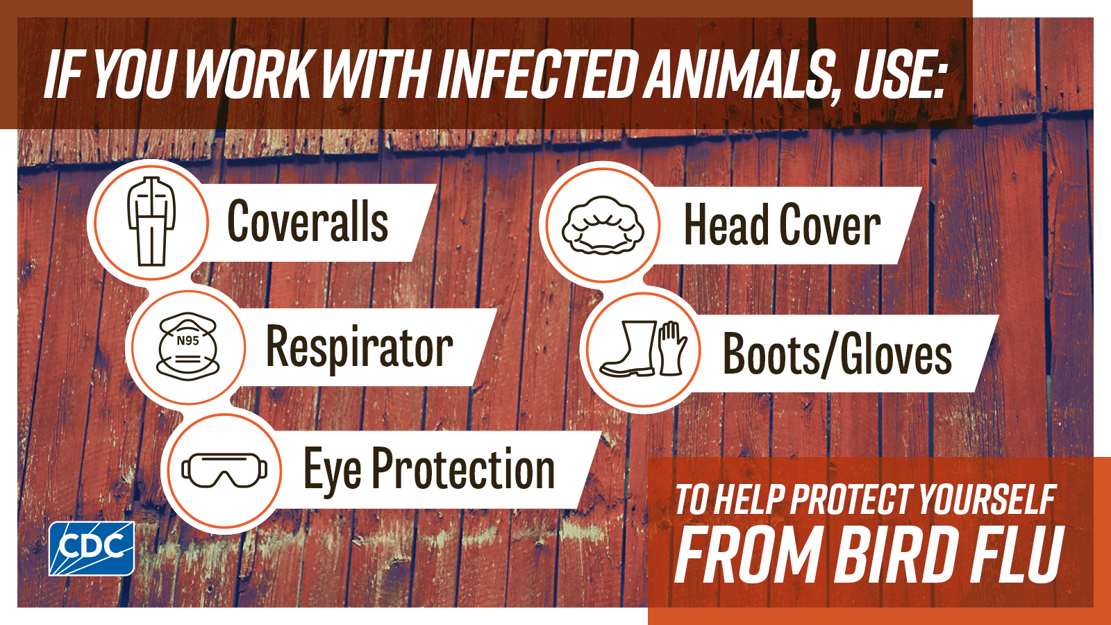 If you work with infected animals, use: ppe to help protect yourself from bird flu