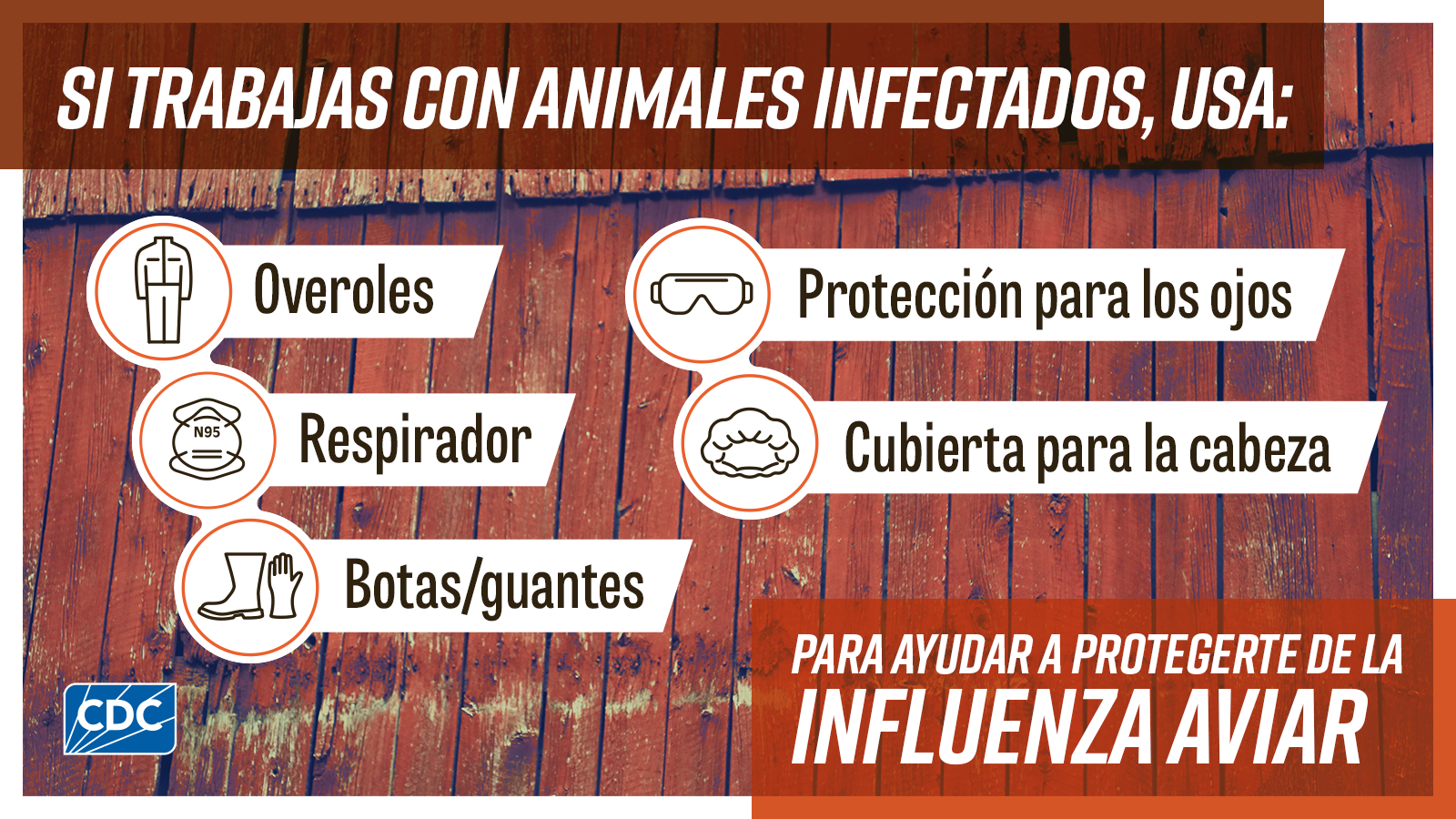 If you work with infected animals, use: ppe to help protect yourself from bird flu