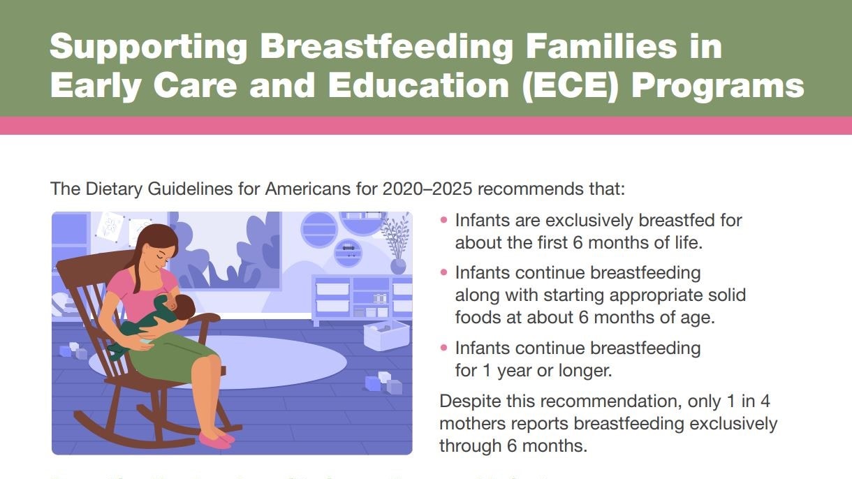 Top part of PDF that says Supporting Breastfeeding Families in Early Care and Education (ECE) Programs