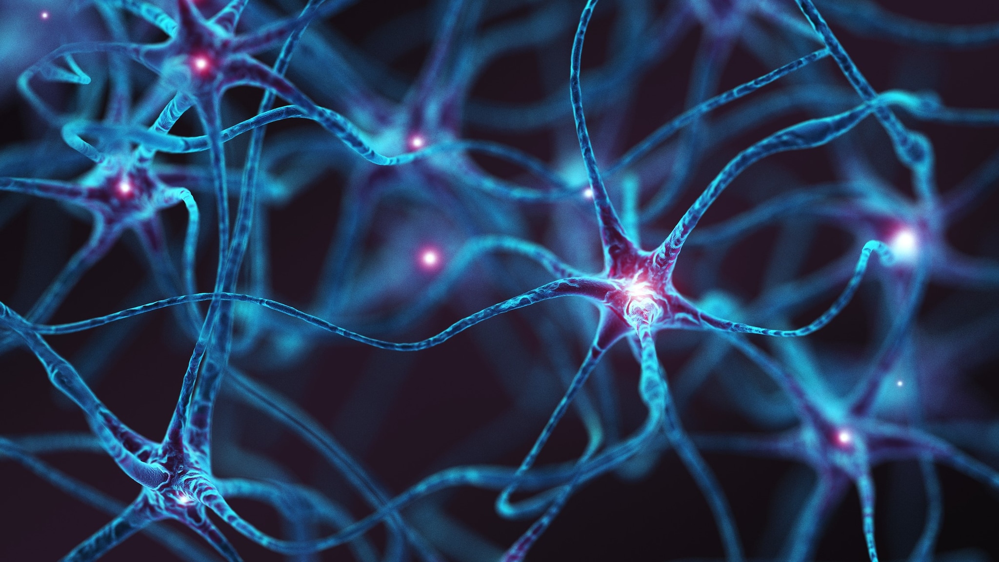 Blue colored nerve cells interconnected firing red signals to each other.