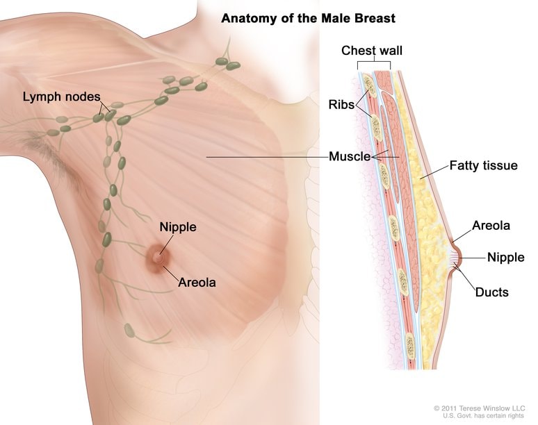Breast Cancer Signs, Symptoms & Causes