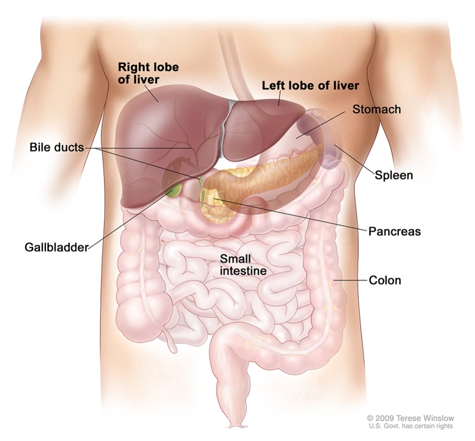 Liver Cancer | CDC