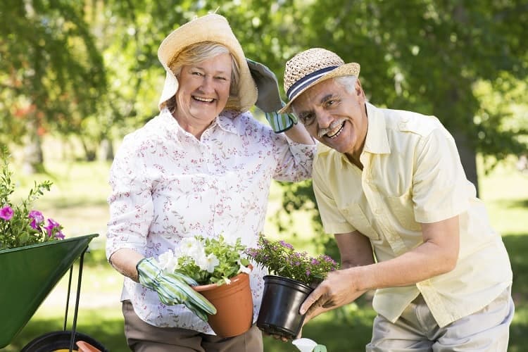 Foto de una pareja de edad avanzada cuidando el jardín.