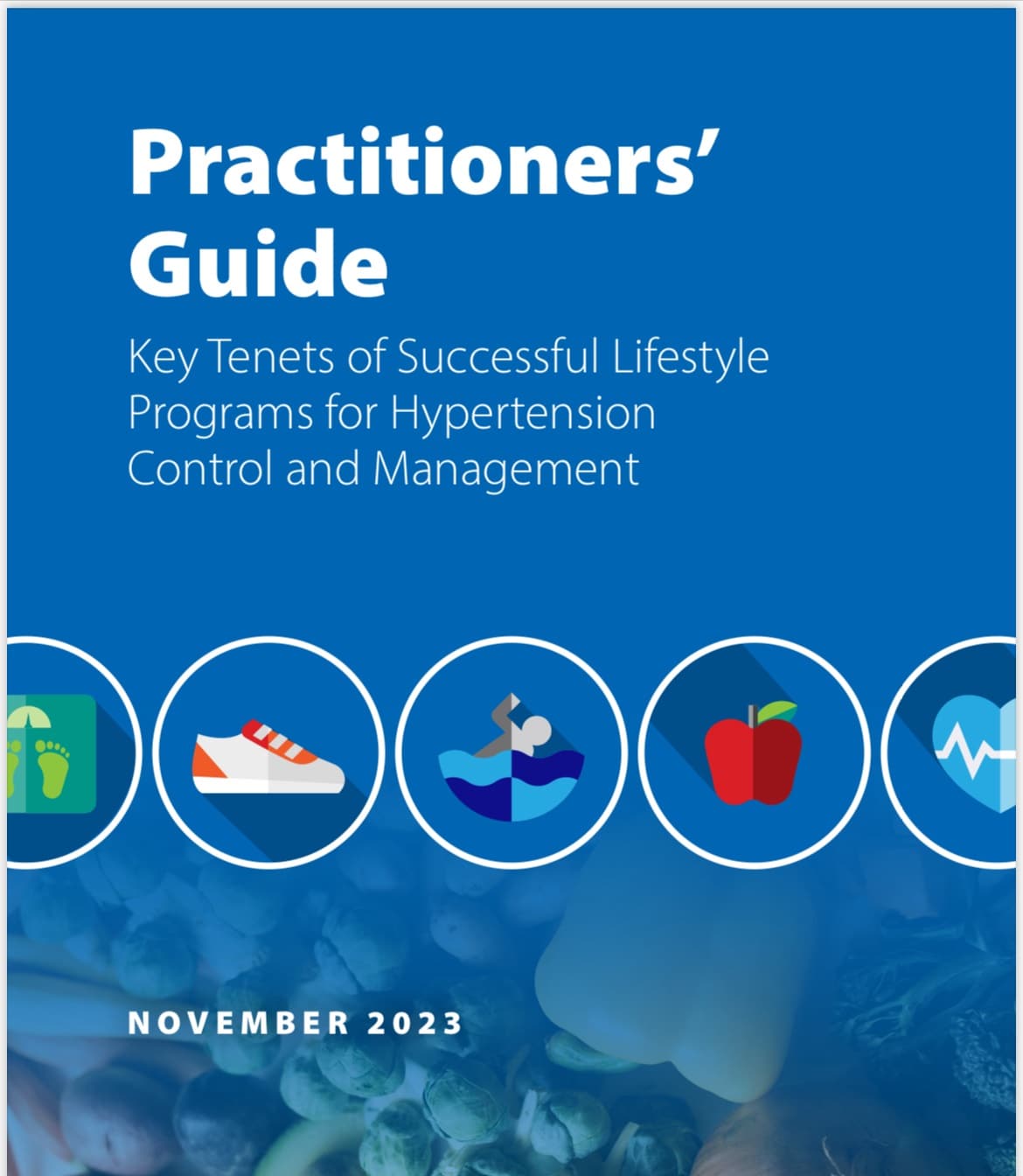 Image of Practitioner's Guide cover