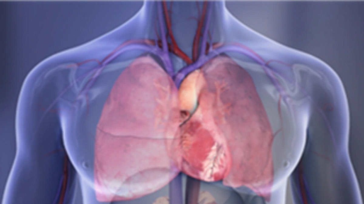Illustration of man's body with superimposed organs, heart highlighted.