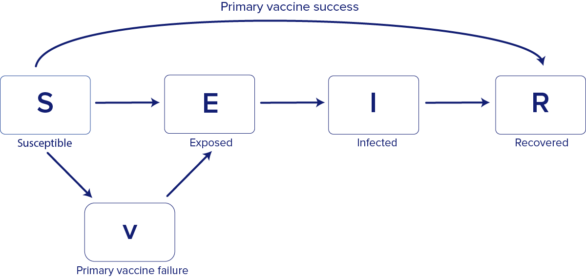 Figure 1. An illustration of a basic compartmental model. This graphic illustrates a basic compartmental model, with five boxes (S, susceptible individuals, E, exposed individuals, I, infected individuals, R, recovered individuals, and v, primary vaccine failure). Arrows point between boxes, explaining how individuals move between disease states.