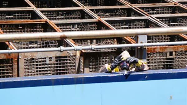 Clam baskets on a ship