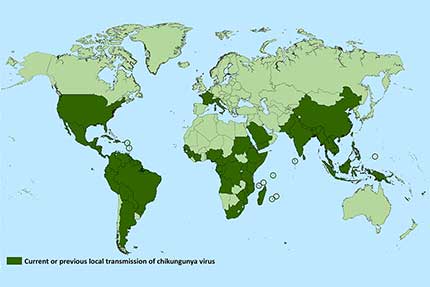 chikungunya map 2022