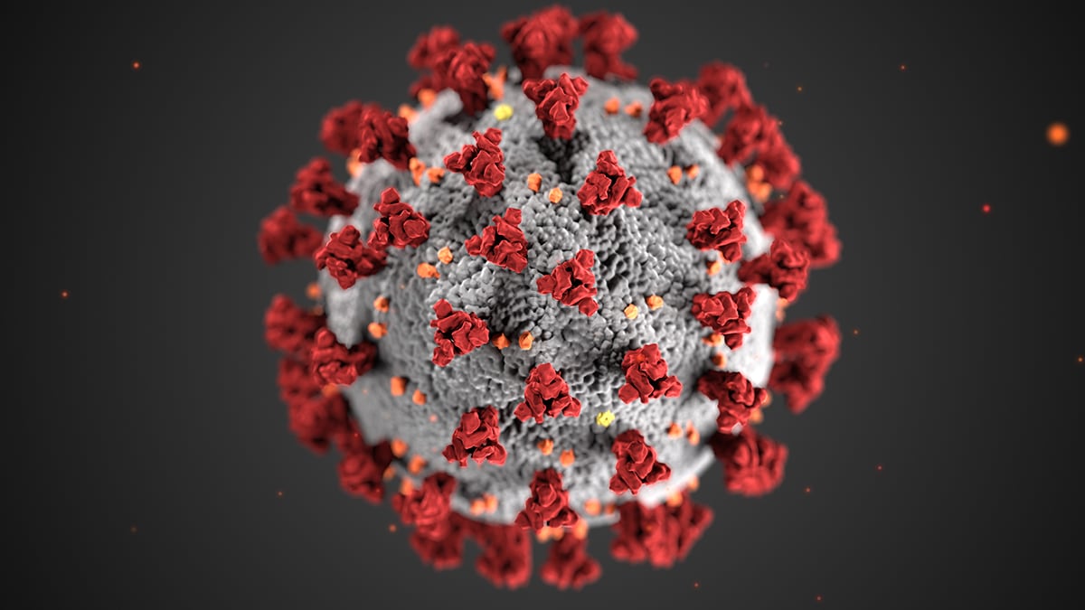 How The New Coronavirus Spreads And Progresses – And ...