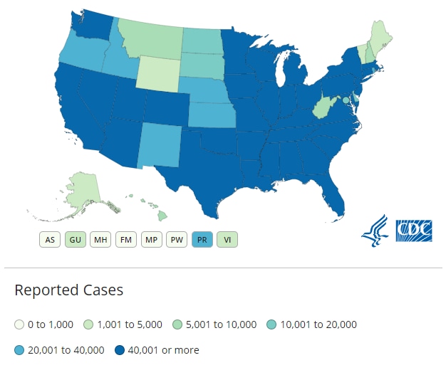 Usa in hours 24 last total in cases covid India reports