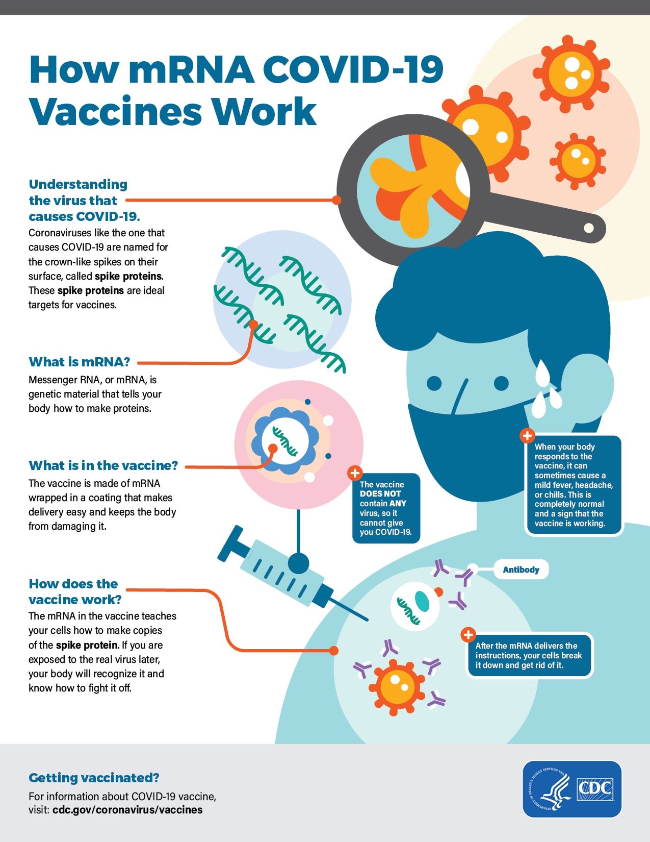 spike protein covid vaccine