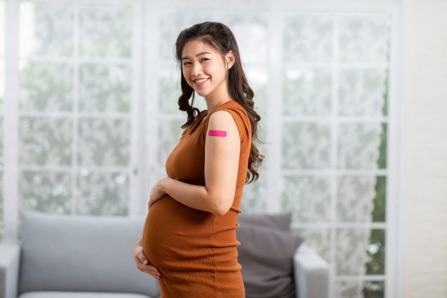 Nuevas investigaciones aconsejan a las mujeres embarazadas que se vacunen y  se protejan de la infección