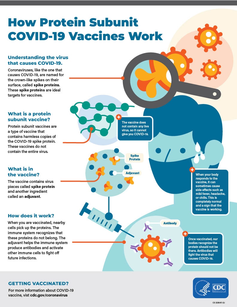 Illustration of how protein subunit COVID-19 vaccines work.