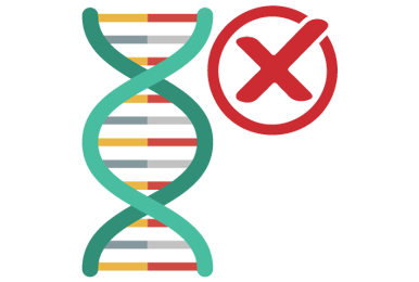 The DNA double helix