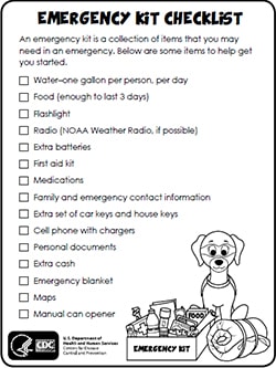 survival kit checklist